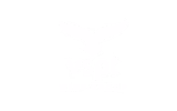 VSPT